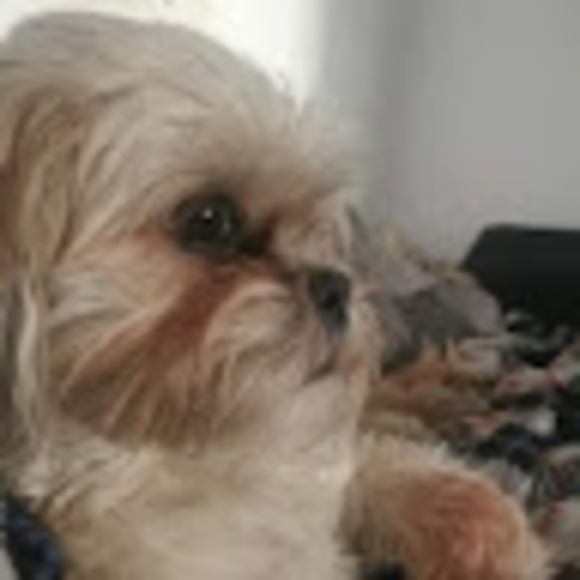 Meet your Posher, Janine - Picture 1 of 1